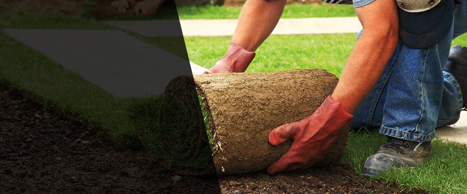 Great Falls Landscapers